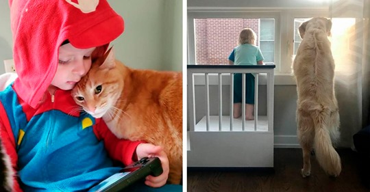 17 душевных снимков, которые покажут настоящую дружбу между ребенком и домашним питомцем