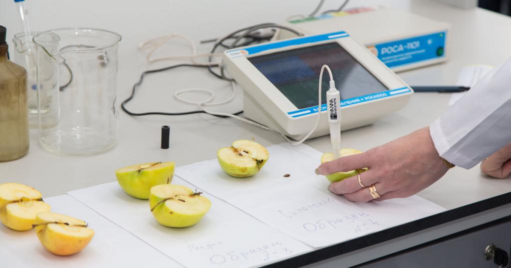 Ученые разработали систему для определения самого лучшего срока хранения яблок, основанную на нейросети