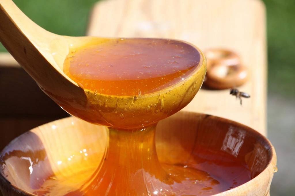 Упадок сил, нарушение работы желудочно кишечного тракта: когда мед может причинить вред организму 