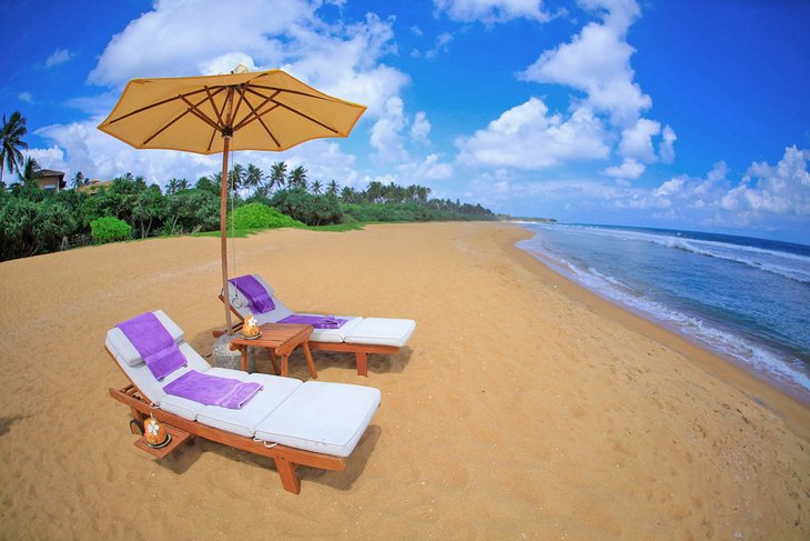 Шри Ланка открылась для россиян: на каких пляжных курортах страны можно отдохнуть со вкусом