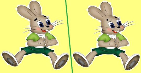 Сможете найти 3 отличия между зайцами?