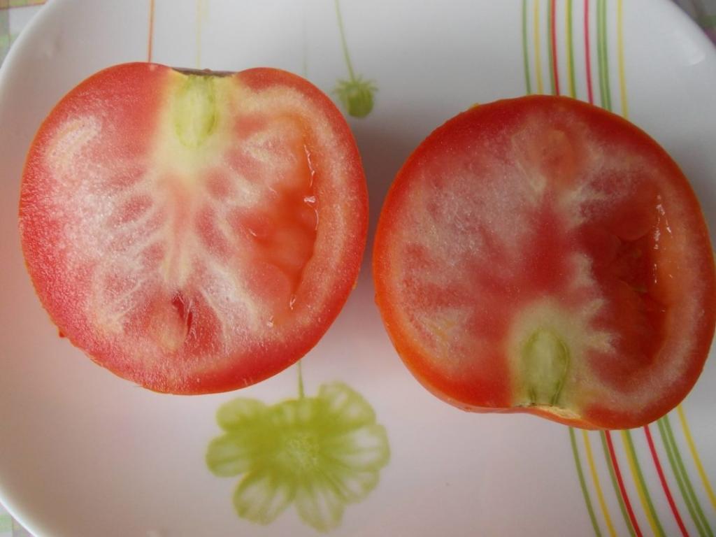 У помидоров нет семян: что необходимо делать, чтобы сохранить сорт