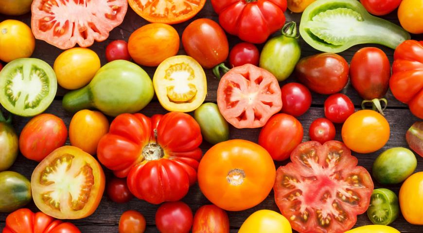 В помидорах нет семян: что необходимо сделать, чтобы сохранить сорт