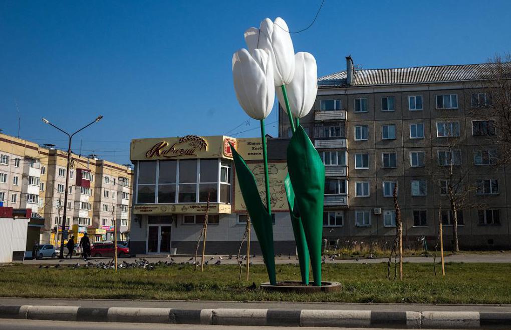 Гостиницы Южно Сахалинска: список с фото и адресами, отзывы туристов