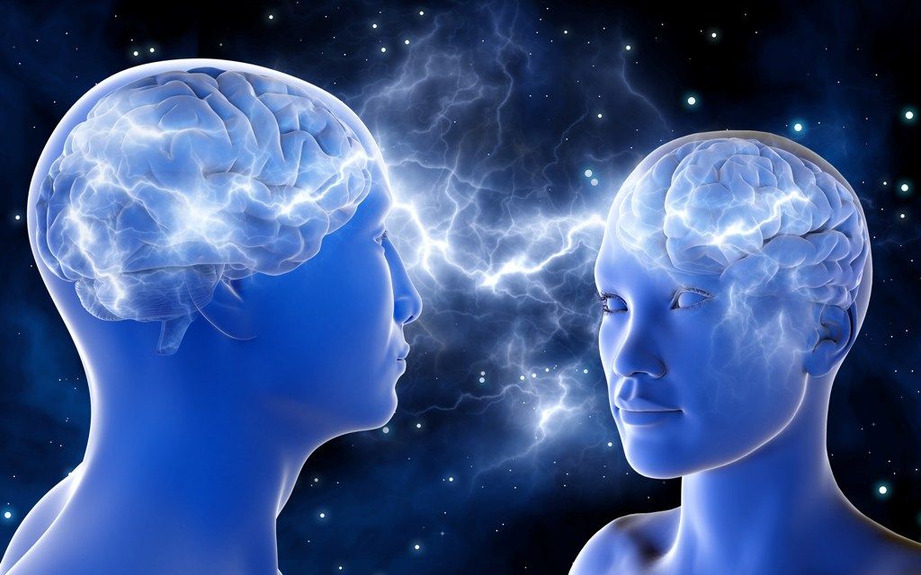 Зеркальные нейроны головного мозга: определение, функции, влияние на формирование личности человека