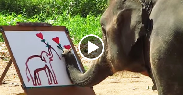Слон, который рисует слона