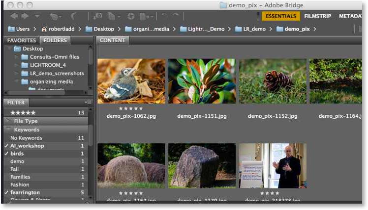 Adobe bridge поиск дубликатов фотографий