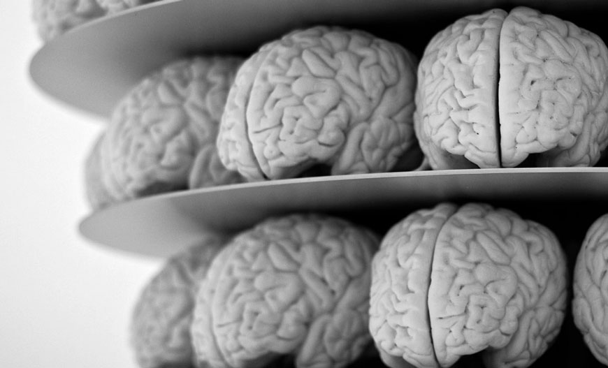 Мозг и новая информация