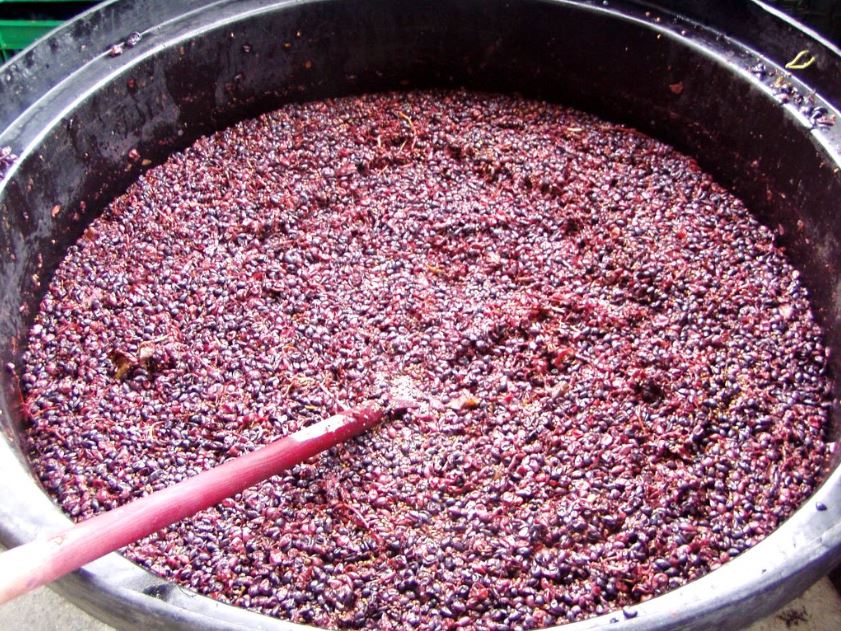 Приготовление закваски из изюма и других ягод для вина, как альтернативы винным дрожжам