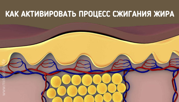 В помощь худеющим: как активировать процесс сжигания жира