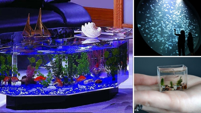 Аквариумный креатив: 15 потрясающих аквариумов, от которых невозможно отвести взгляд