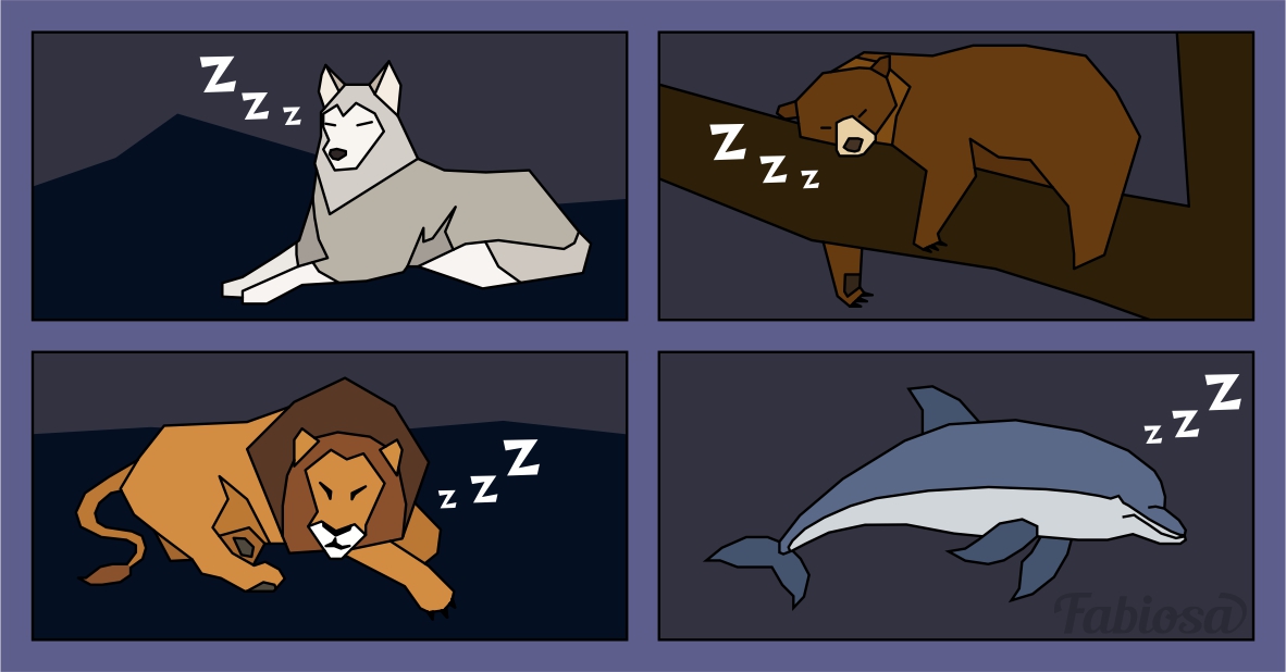 Вы – медведь, лев, волк или дельфин? Узнайте свой тип сна!