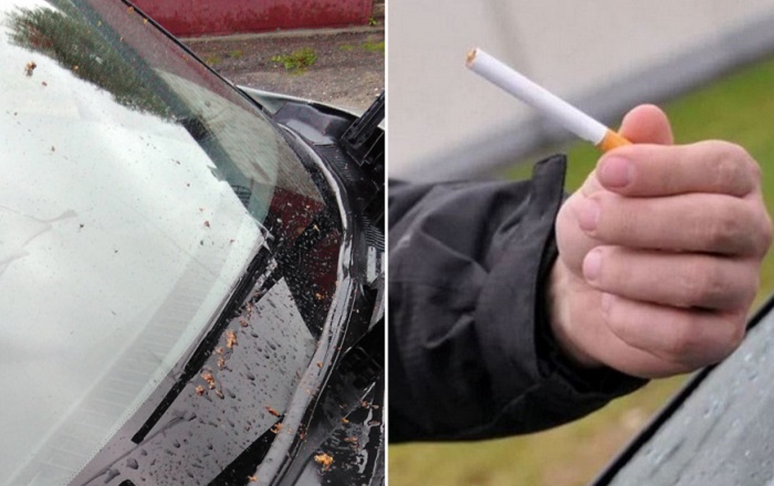 Как обычная сигарета поможет поддерживать лобовое стекло автомобиля в чистоте и порядке