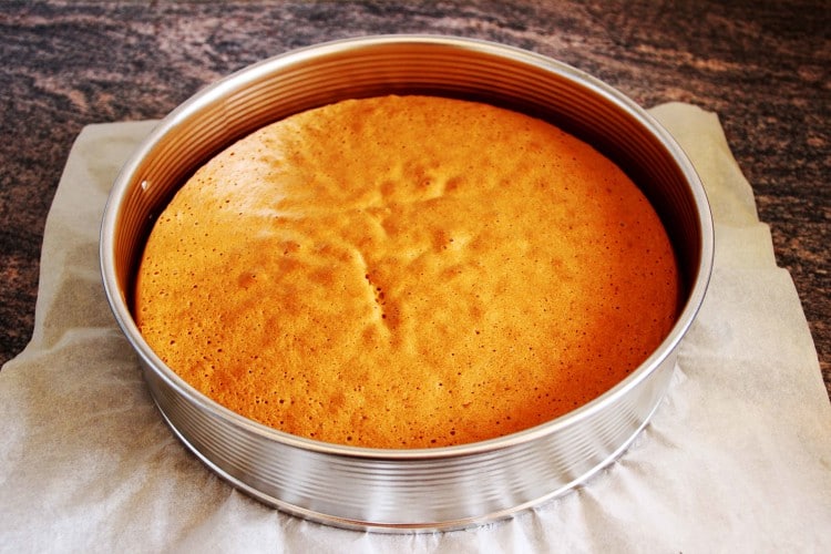 Торт желейный с бисквитом и фруктами: рецепт приготовления